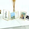 European-style Retro Glass Photo Frame Display Card Table Sign Feather Plant Specimen Clip Wedding Photo Decoration Photo Frame Set Table