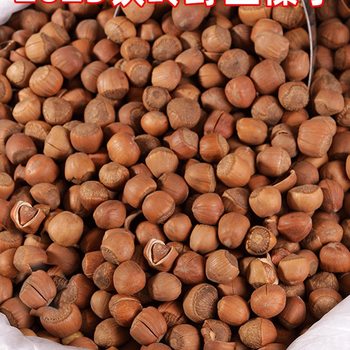 Large Hazelnuts from Northeast China, Fresh Wild Roasted Nuts Snacks, Original Flavor Zhenyun