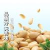 Processing and Customization of Large-Capsules Pine Nuts, Original Nut Snacks, Open Pine Nuts, Bulk Wholesale, New Goods, Northeastern Pine Nuts