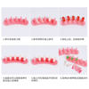 Nail Art Exercise Rack Adhesive-free Buckle-type Nail Pieces Display Rack 3-piece Base Removable Nail Art Tools
