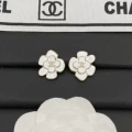 B701 earrings