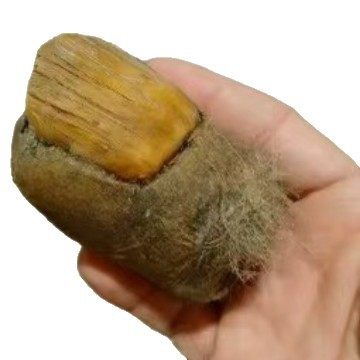 Cross-Border Amazon Bigfoot Toe Sasquatch Devil's Toe Resin Crafts Ornaments