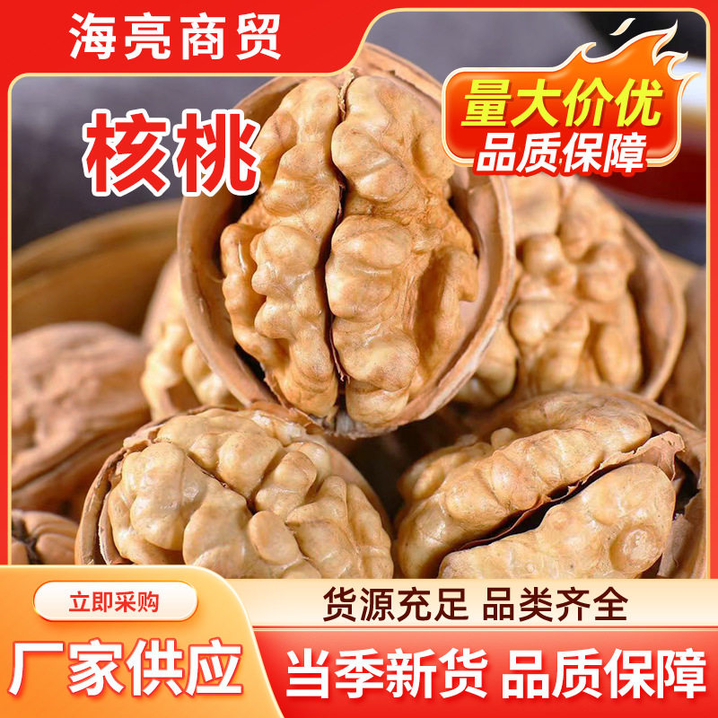 185 Paper-Skinned Walnuts, New Arrival from Xinjiang, Thin-Skinned, Suitable for Pregnant Women, Aksu Large Raw Walnuts with Roasted Milk Flavor