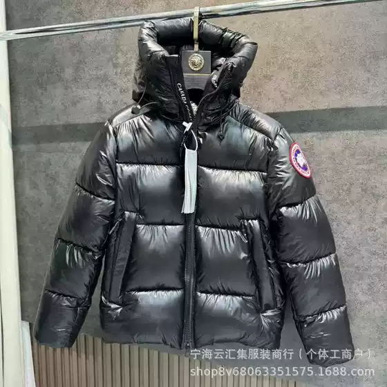 Cross-Border High-End Authentic Version of Goose down Cotton Jacket, Same Style Parka, Stylish Hooded Windproof Coat, Loose Fit