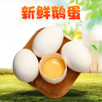[Premium Selection]Raw Goose Eggs Guangxi Goose Eggs 12 Fresh Eggs from Rural Lakeside Free-Range Domestic Geese Baby Food Supplement Eggs