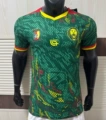 2627 player edition-cameroon home