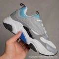 (dior) gray white blue
