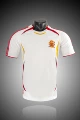 2006 spain away game
