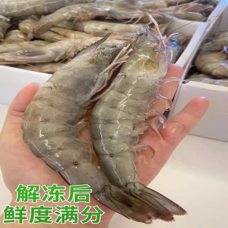 Ecuadorian White Shrimp Fresh Quick-Frozen Salt-Frozen 2030 South American White Shrimp Base Shrimp Sea Shrimp Prawn Commercial