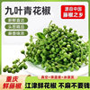 Green pepper fresh 350g Chongqing Jiangjin fresh rattan pepper Sichuan specialty picked fresh hemp pepper frozen fresh pepper