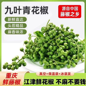 Green pepper fresh 350g Chongqing Jiangjin fresh rattan pepper Sichuan specialty picked fresh hemp pepper frozen fresh pepper