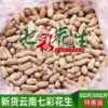 2024 New Yunnan Specialty Colorful Peanuts Flagship Store Fresh Sun-Dried Shelled Raw and Cooked Wild Colorful Peanuts