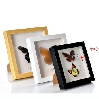 Oil Painting Photo Frame Diamond Painting Handmade DIY Clay Hollow 2.0cm Fan Shell Plant Insect Specimen Square