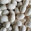 [Damage Guaranteed] Authentic Farm-Raised Free-Range Goose Eggs for Pregnant Women and Babies, Freshly Picked and Shipped