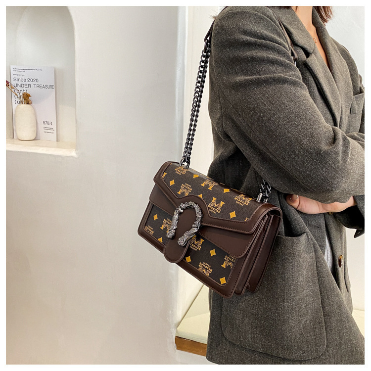 French Niche Bags for Women New Trendy Autumn and Winter Chain Shoulder Crossbody Bag Printed Small Square Bag Retro Style 8 undefined