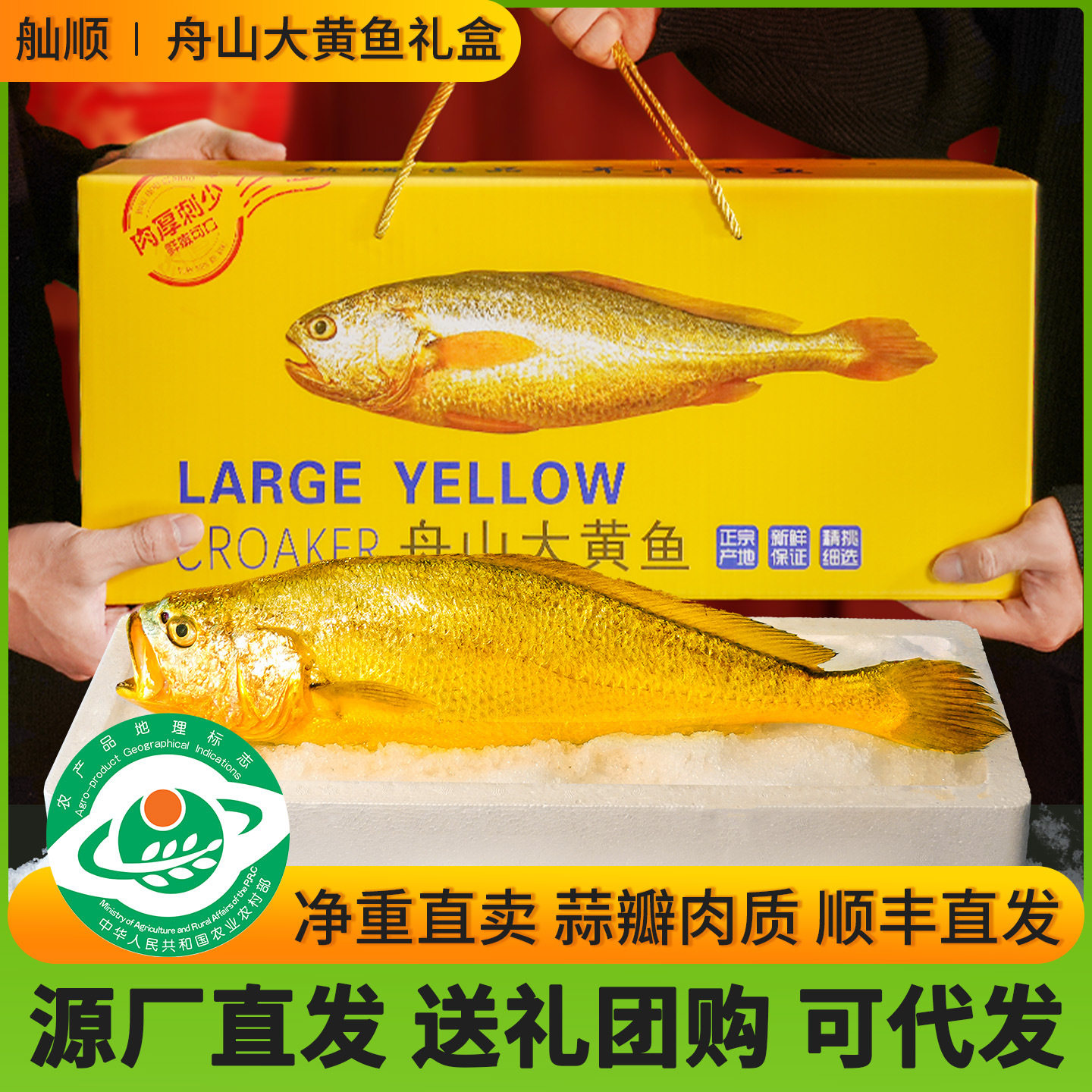 Zhenhai Large Yellow Croaker Gift Box, Deep-Sea Small Yellow Croaker, Fresh Frozen Seafood, Semi-Wild Aquatic Product for Commercial Use