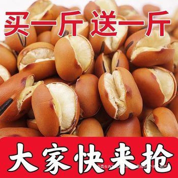 Crispy Broad Beans from Sichuan, Farmhouse Dry Roasted Original Flavor Broad Beans, Broad Beans, Orchid Beans, Roasted Snacks, Bulk