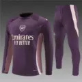 2425 arsenal purple
