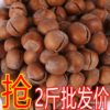 New Northeast Net Weight Large Hazelnuts with Thin Shells, Original Roasted Nuts Specialty Bagged Wholesale Price Snacks