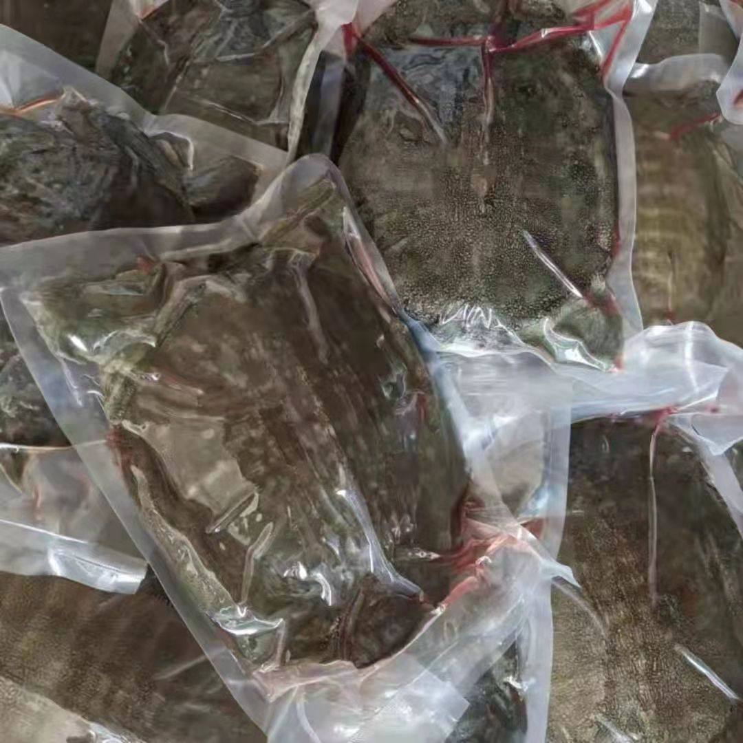 [Compensation for Bad Orders] Freshly Killed Vacuum-Packed Original Ecological Large and Small Turtles, Nourishing and Nutritious Male and Female Chinese Turtles