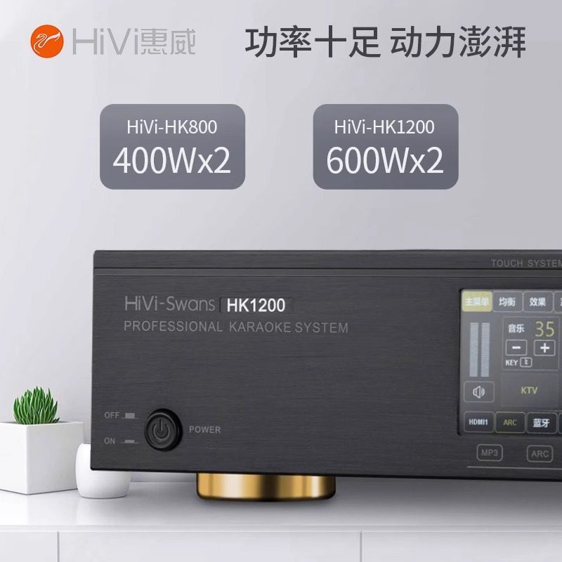 Hivi/hivi HK800 Multifunctional Three-in-One K-Song Power Amplifier Fixed Resistance Conference Power Amplifier with Microphone Effector
