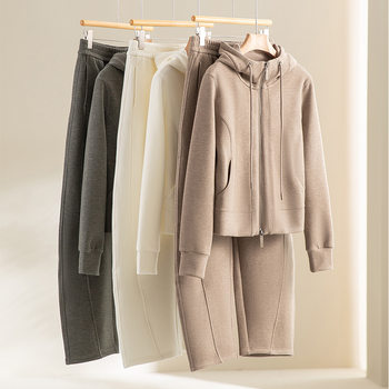 Jacket, Hooded Sweatshirt, Elastic Waist Scimitar Pants, Outdoor Sports Suit, Women's Casual Suit, Women's Winter Two-Piece Suit