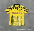 2526 wang dortmund
