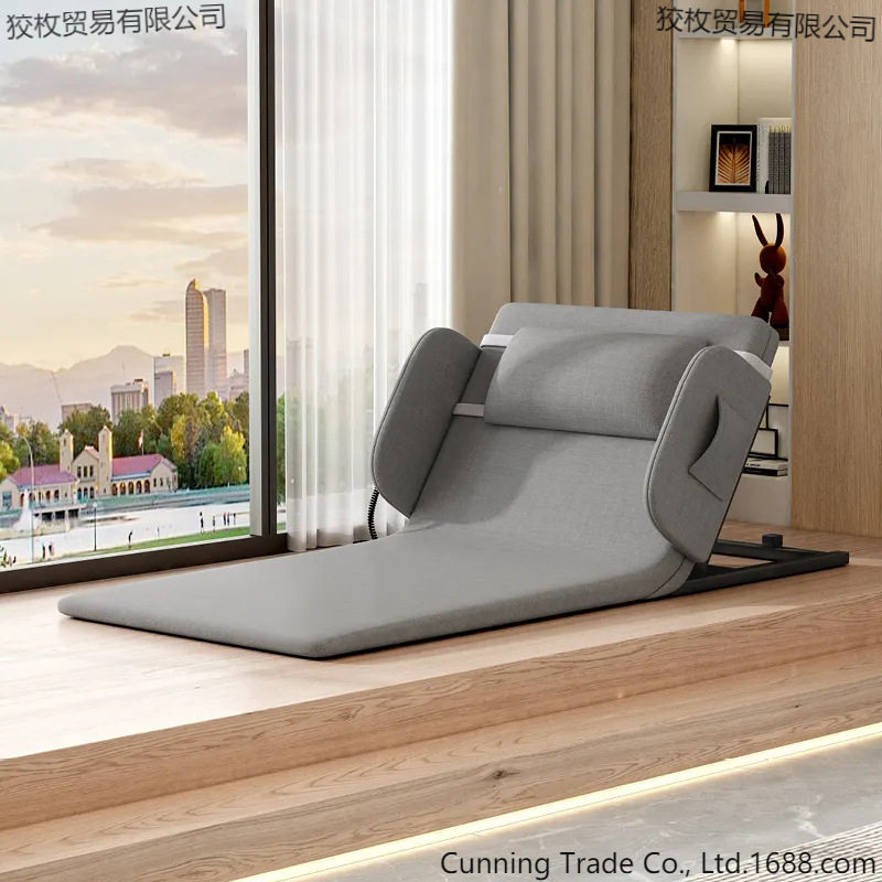 Electric Stand up Assist