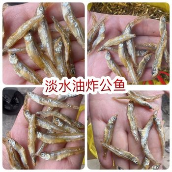 Small River Fish, Fried Fish, Street Stall E-Commerce Wholesale, Xinjiang Freshwater Dried Male Fish, Qinghai Dried Male Fish, Small Dried Fish