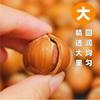 Freshly Roasted Whole Hazelnuts from Tieling, Northeast China, No Additives, Original Flavor, Suitable for Pregnant Women as a Snack