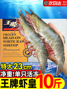 Freshly Frozen Large Shrimp, Sea Shrimp, Ecuadorian Salted Frozen White Shrimp, South American Prawns and Seafood