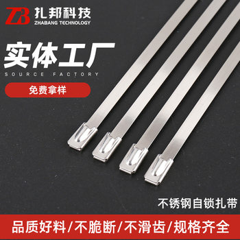 304 Stainless Steel Self-Locking Cable Tie Cable Tie Metal Binding Belt Marine Cable Harness Cable Tie Buckle Electrician