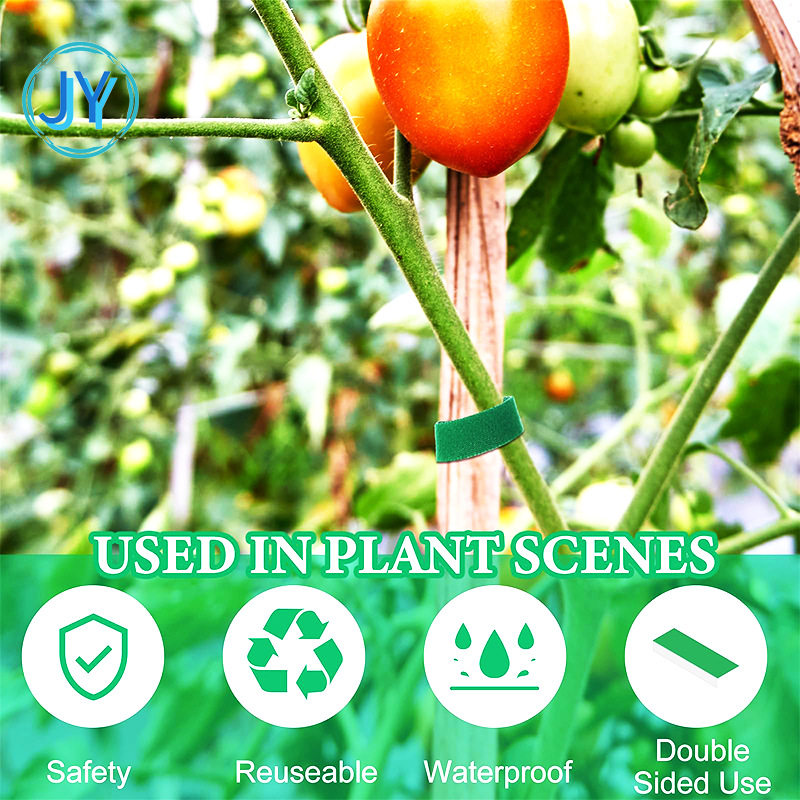 Hot Plant Climbing Vine Green Plant Bundle Velcro Velcro Belt Garden Plant Flower Shape Back-to-Back Fixed Strap