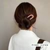 Plate Hairpin Fashion Back Head Ball Head Plate Hair Artifact Hairpin Women's Fashion All-match Summer Hairpin Headdress Hair Plug