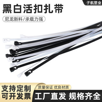 Source Factory Wholesale Black and White Nylon Tie with Live Buckle Tie with Reusable Tie with Live Buckle Nylon Tie