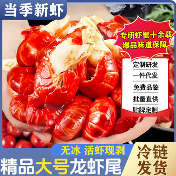 Lobster Tail Without Ice, Extra Large Shrimp Tail, Extra Large Without Ice, Fresh Live Crayfish, Frozen, Restaurant Night Market, Commercial