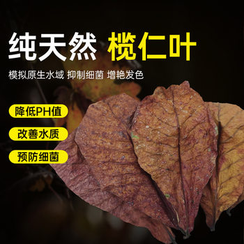 Non-Boiled Elemene Leaf Dou Fish Lazy Man Leaf Fish Tank Acid Decrease pH Regulator Aquarium Liquid Tortoise Olive Leaf Tea Bag