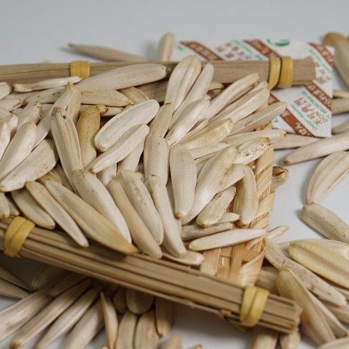 Xinjiang pointed chin horse teeth white melon seeds original flavor 500 g/bag large long grain fried goods wolf teeth white skin toothpick sunflower seeds