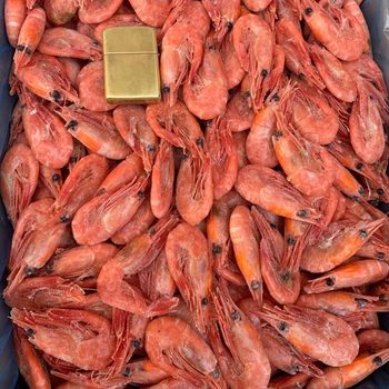 Wholesale Head Seed Arctic Sweet Shrimp Commercial Buffet Hotel Sashimi Raw Sweet Shrimp with Seeds Seafood Aquatic Products Wholesale