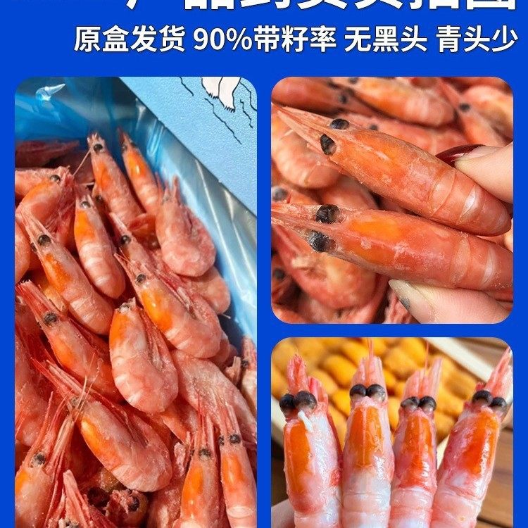 Arctic Sweet Shrimp, Polar Bear, Arctic Shrimp Sashimi, Head Seeds, Belly Seeds, Extra Large Ice Shrimp, Fresh Frozen Ready-To-Eat Flagship Store