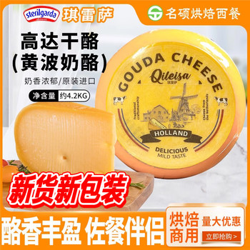 Huangbo Cheese Gouda Cheese about 4.2kg Wheel Cheese Qiresa Gouda Cheese Imported from the Netherlands