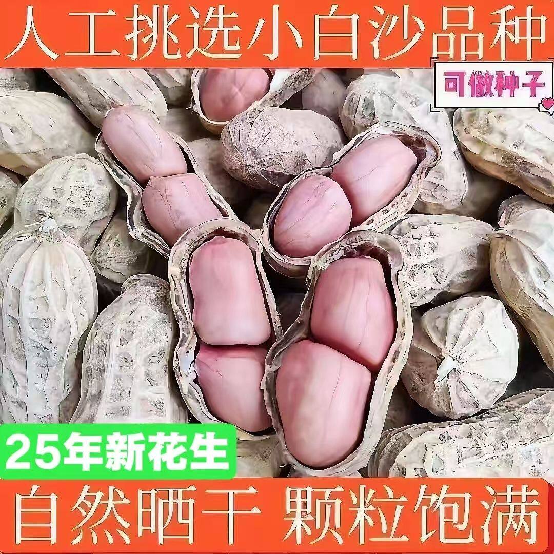 New Arrivals for Autum 2025, Raw Shelled Naturally Sun-Dried Peanuts, Fresh Thin-Shelled Raw Peanuts, Farm-Grown Prunes and Vegetables