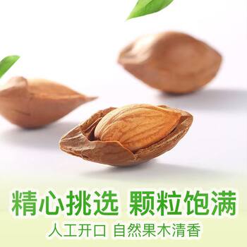 Freshly Peeled White Apricot Kernels Nuts Snack Dried Fruit Milk Flavor Large Apricot Kernels Wholesale Dropshipping