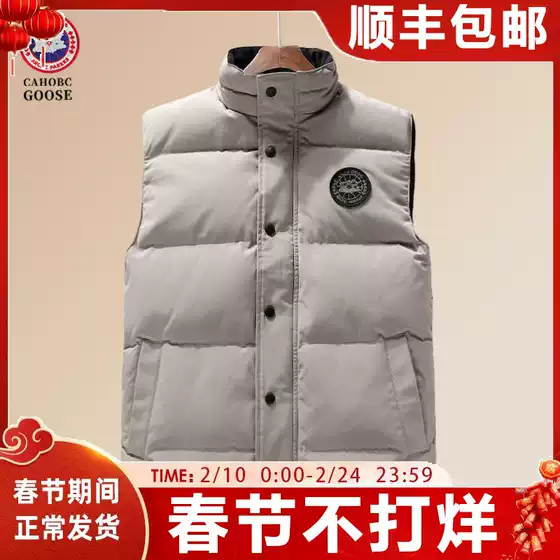 Big Goose down Vest for Men and Women Autumn and Winter 2025 New Fashion Versatile Casual Warm Jacket Stand Collar Waistcoat Vest