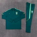 Brazilian dark green