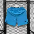 D334 shorts 3