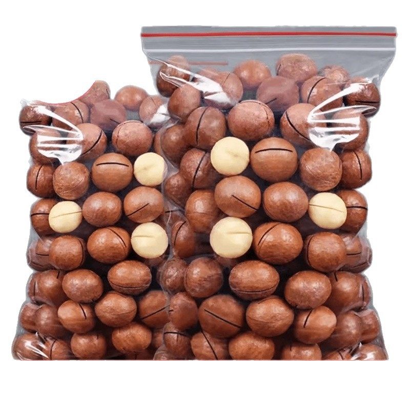 New Arrival Macadamia Nuts 0.5kg Creamy Flavor Holiday Nuts Large Nuts Snacks Bulk by the Pound Whole Box Wholesale