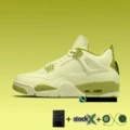 4204