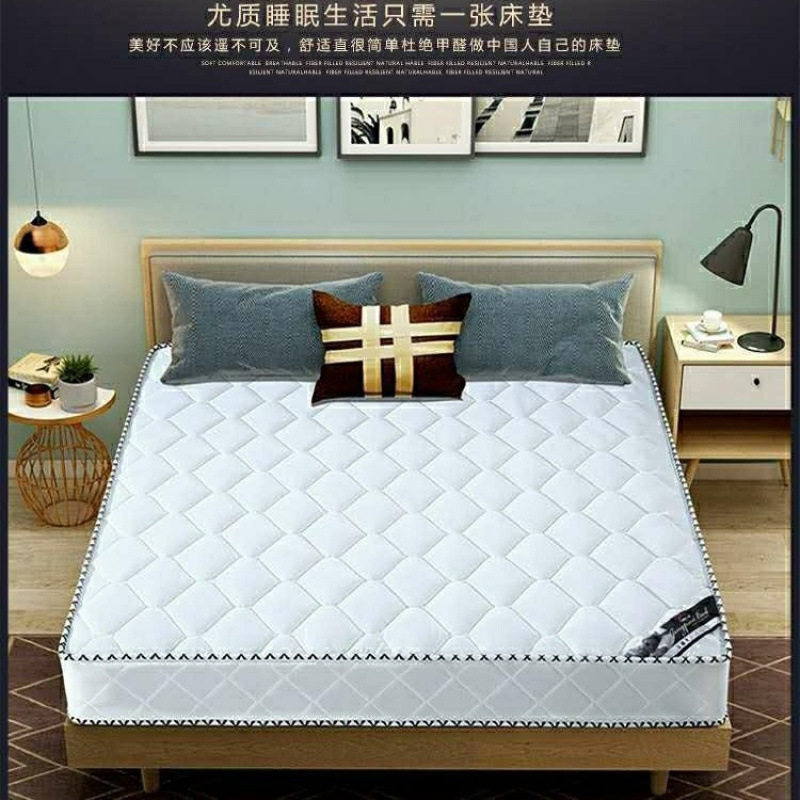 Simmons Mattress Soft and Hard Dual-Use 20mm Thick 1.95m Household Double Economical Coconut Palm Spring Mattress