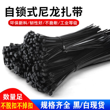 Nylon cable ties black wholesale 3*100*4*150*5*200*8*250*300 * bundled plastic cable ties